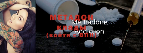 прущие грибы Михайлов