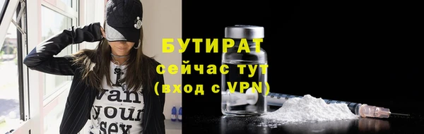 прущие грибы Михайлов