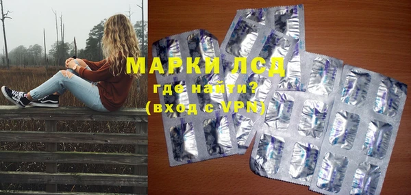 прущие грибы Михайлов