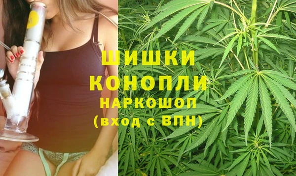 дурь Медвежьегорск