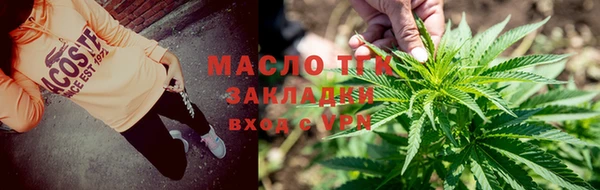 прущие грибы Михайлов