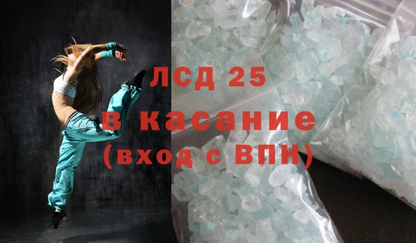 прущие грибы Михайлов