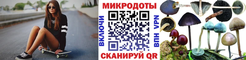 Галлюциногенные грибы мухоморы  Кологрив 