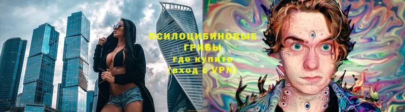 Галлюциногенные грибы Magic Shrooms Кологрив