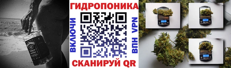 закладка  Кологрив  Бошки марихуана Ganja 